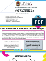 Liderazgo Comunitario