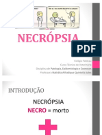 Pat 03 - Necrópsia