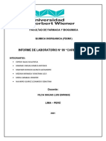 Informe #09 Carbonoides