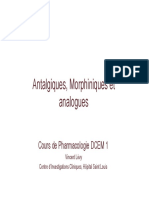 Antalgiques, Morphiniques Et Analogues