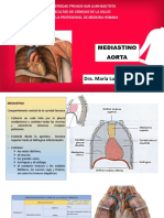 Anatomia Pc2