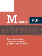 Modulo Interculturalidad