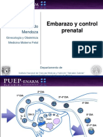 Embarazo y Control Prenatal