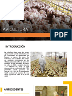 Avicultura en Colombia 2