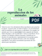 La Reproduccion de Los Animales