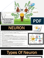 Neuron