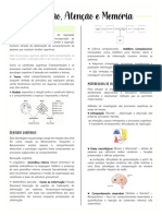 Perceção Atenção e Memória: Metodologia de Investigação