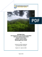 Inf. Expl. Geol Geofísica Proy Carbon Cerro Pinzón Jagua de Ibirico - Cesar (VF)