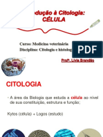 Aula 1 ... Celula Procariotica e Eucariotica