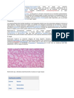 Bacteroides TVP