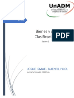 Bienes y Su Clasificación: Josue Ismael Buenfil Pool