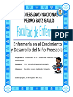 Teorias Del Desarrollo en El Niño Preescolar