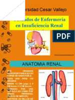 Insuf. Renal Aguda