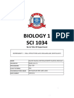 Bio Exp 2 Hanis Haida