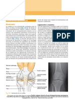 McRae. Traumatología. Tratamiento de Las Fracturas en Urgencias-415-468