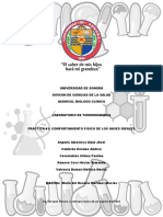 Practica 1 Comportamiento Físico de Los Gases Ideales