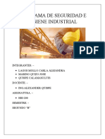 Programa de Seguridad e Higiene Industrial