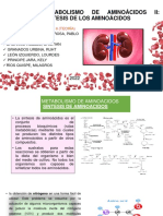 Metabolismo de Los Aminoácidos Ii. Síntesis de Los Aminoácidos