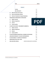 Plantilla Modelo para Ppm-Pasa Anexo 1 Indice 1 Resumen Ejecutivo Descripción Del Proyecto Datos Generales Del Proyecto 2-6