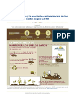 Los Suelos Sanos y La Creciente