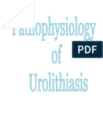 Pathophysiology of Urolithiasis