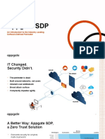 SDP101 Overview Presentation W Talktrack 022421-210316-174943