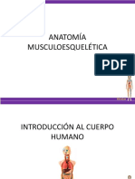 Intro A La Anatomía