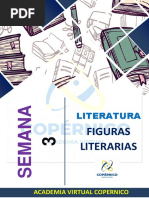 Figuras Literarias - Material Practico