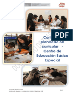 Cartilla Planificación Curricular Cebe