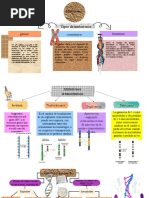 Tipos de Mutaciones