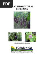 Plan Fitosanitario Berenjena