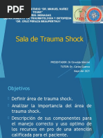 Area de Trauma Shock