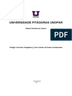 Portfolio Individual - Estágio Curricular Obrigatório II Anos Iniciais Do Ensino Fundamental