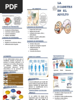 Triptico Diabetes A M