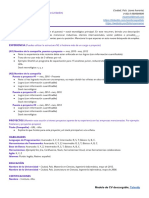 Template de CV Español