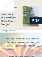 Mindfulness y Psicología Curso-Taller