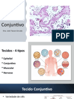 Aula Tecido Conjuntivo 1 COMPLETO