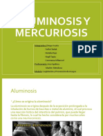 Mercuriosis y Aluminosis