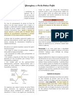 Tema 2 - Glicólise, Gliconeogênese, e A Via Das Pentoses-Fosfato