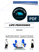 Life Processes (Important Questions)