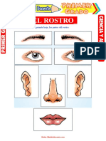 El Rostro para Primer Grado de Primaria