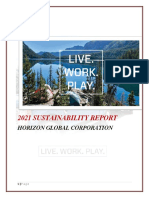 Sustainability Report 21 July 2021 Final Horizon Global