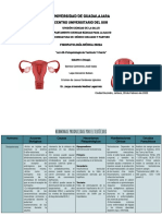 Act. 09 Fisiopatología de Testículo y Ovario