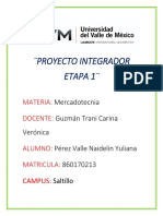 Proyecto Integrador Etapa 1