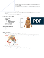 Anatomy and Physiology - The Nervous System