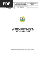 Plan de Trabajo Anual en Seguridad y Salud en El Trabajo.