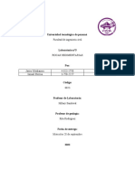 Lab5 Rocas Sedimentarias