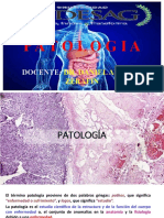 1 Patologia