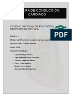 Sistema de Conducción Cardiaco