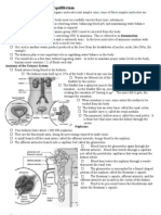 12.1 Waste Excretion and Equilibrium: Anatomy of The Urinary System